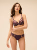 Culotte - Figue